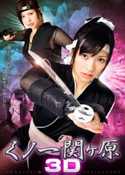  女忍关原