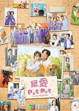 宠爱Pet Pet粤语