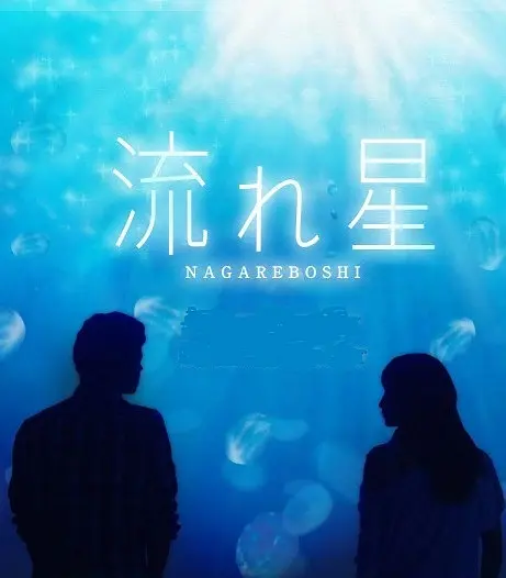 流星