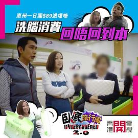 卧底旅行团3.0粤语