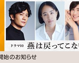 燕子不再归来