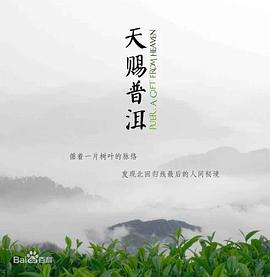 天赐普洱