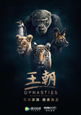 王朝[纪录片国语版]