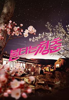 燃烧的青春[2021]