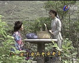 向太阳挑战
