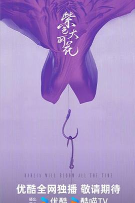 紫色大丽花