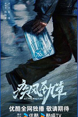 疾风劲草