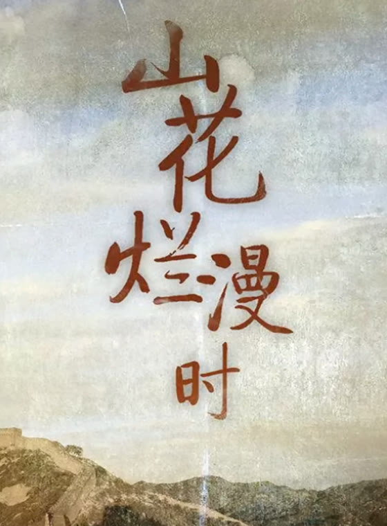 山花烂漫时