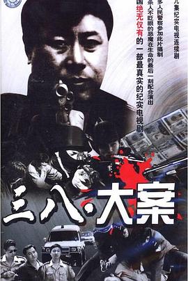 3&middot;8大案