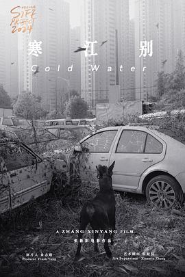 伤寒杂病论